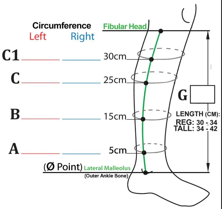 Compreflex Calf With Transition Liners