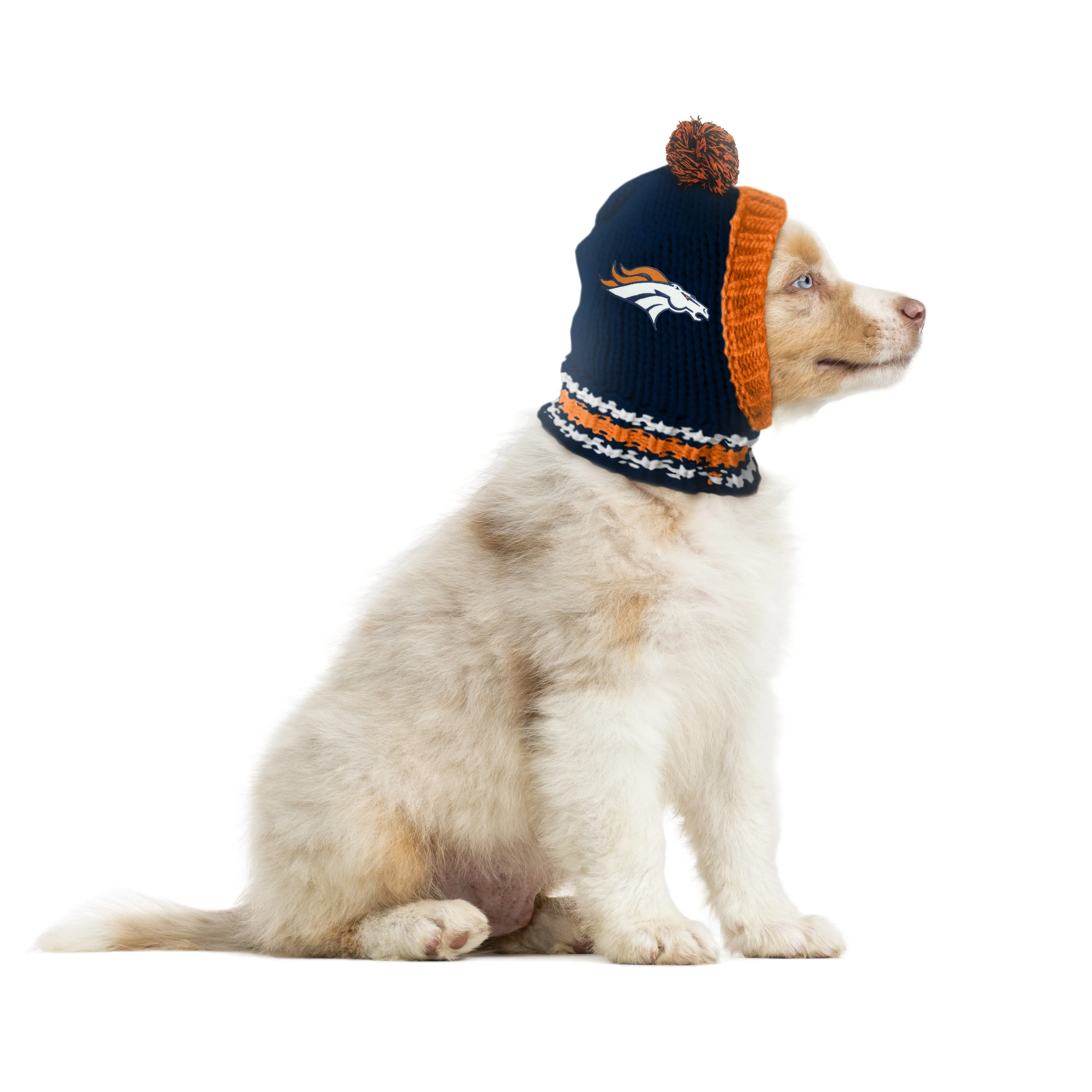 Denver Broncos Team Pet Knit Hat