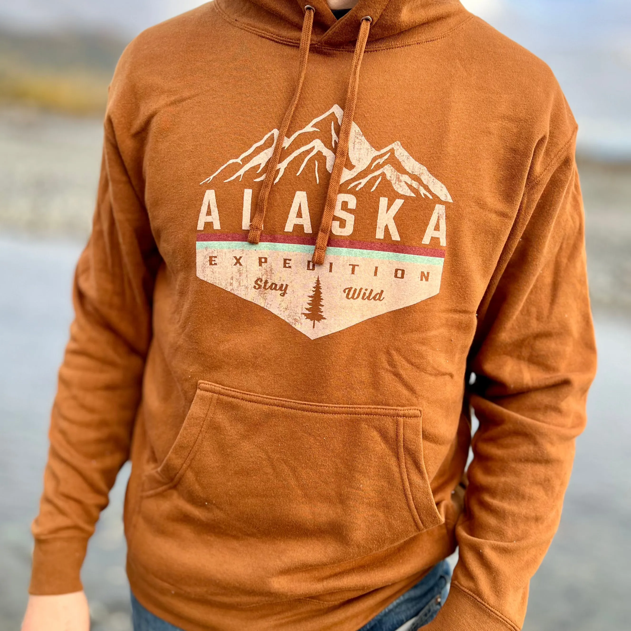 Stay Wild Alaska Hoodie