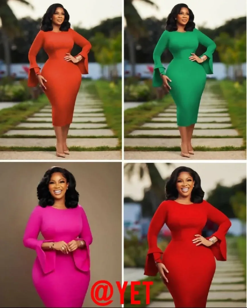 Women's Plus Size Flared Sleeve Bodycon Pencil Dress